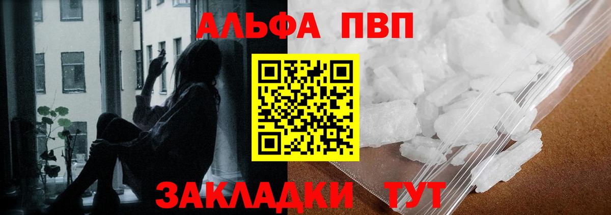 Альфа ПВП СК КРИС Элиста
