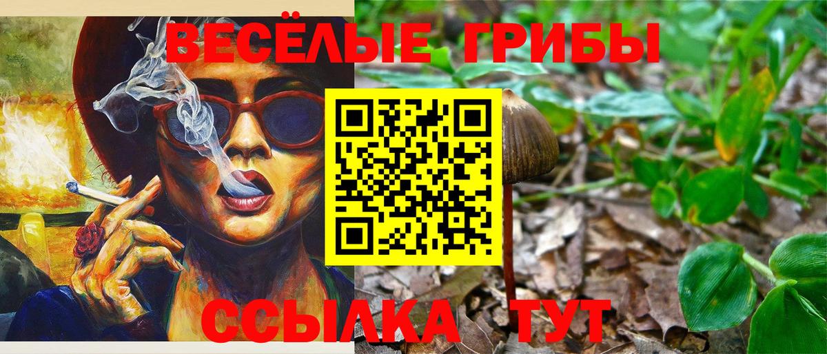 Элиста  Галлюциногенные грибы прущие грибы  Псилоцибиновые грибы ЛСД  Вход с VPN 